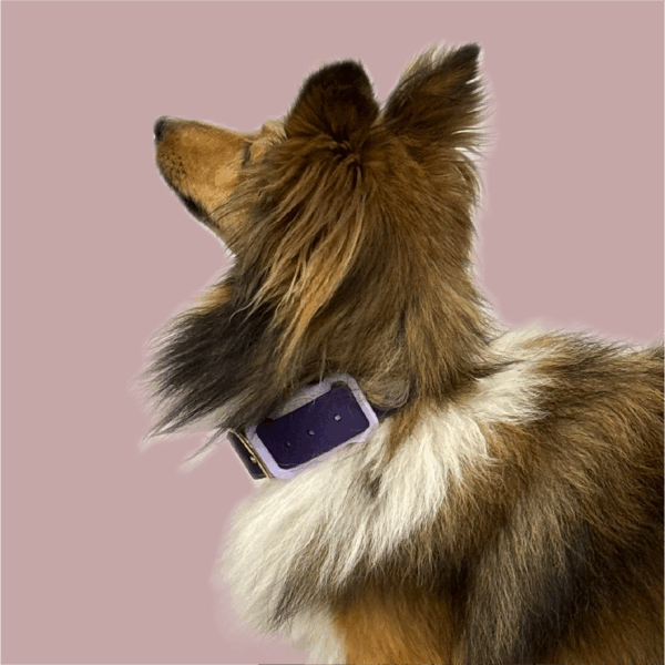 Médaille Mobilité PLUS
