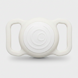 ZEN