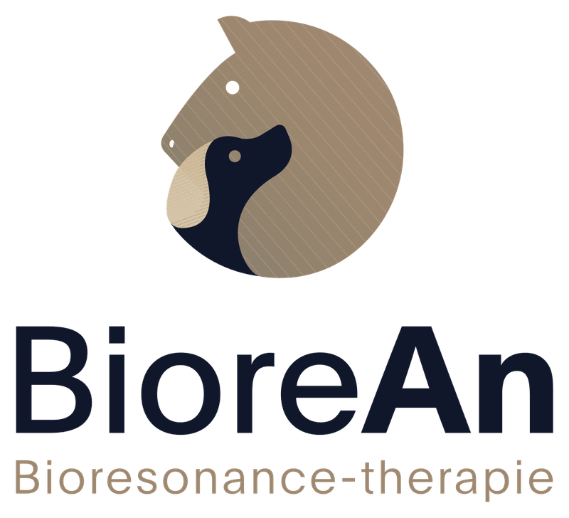 BioreAn iorésonance - thérapie<br />
Anne KOHLI 